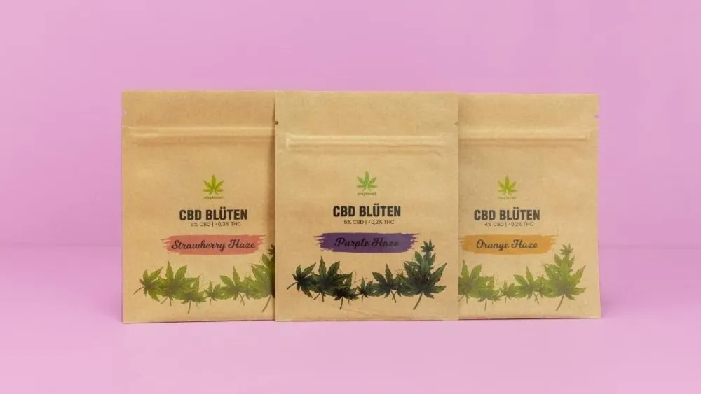 Flat Pouches made of kraft paper Flat Pouches made of kraft paper