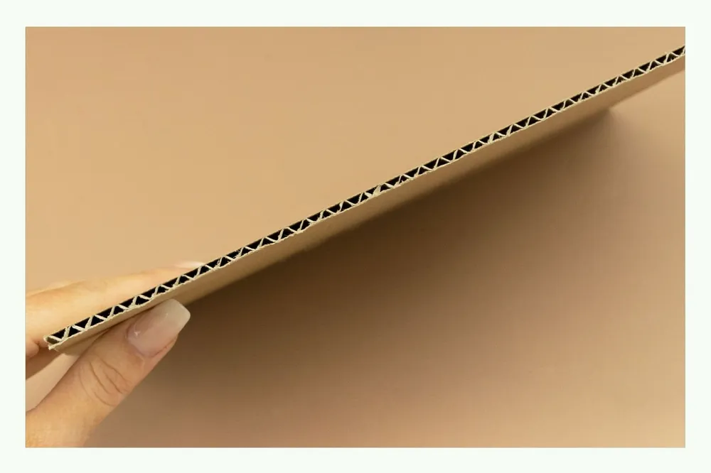Hand holding a corrugated cardboard sheet in cross-section Hand holding a corrugated cardboard sheet in cross-section